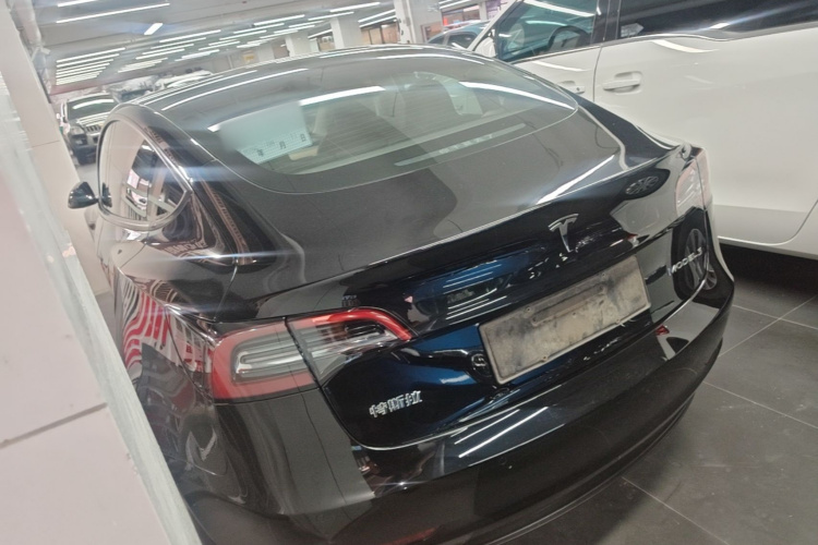 Tesla Model 3 2022 #5 Tesla Model 3 2022 car image #5