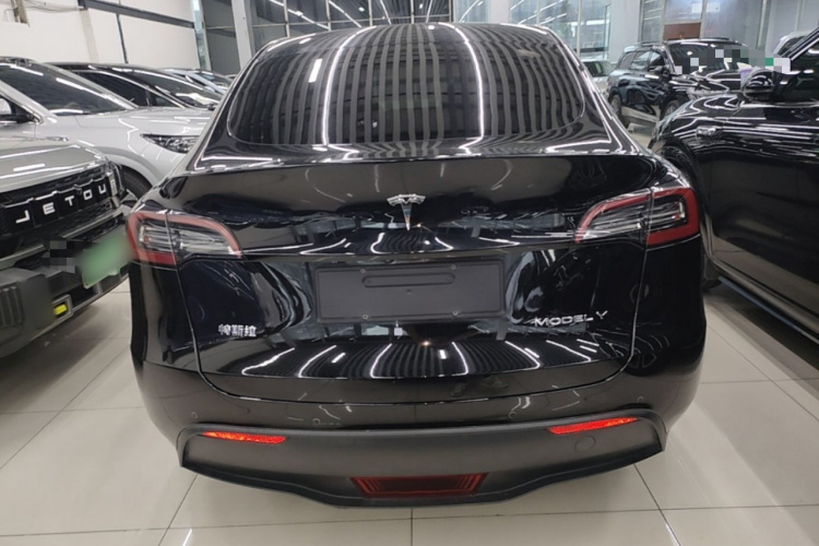 Tesla Model Y 2022 immagine di auto #6