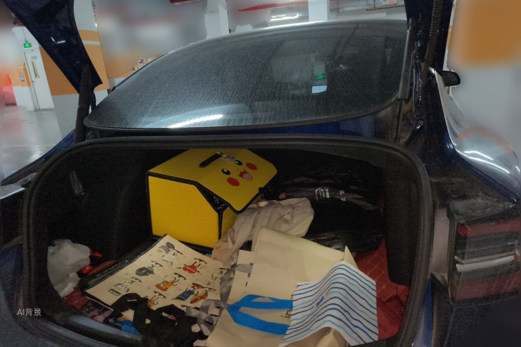 Tesla Model 3 2021 car image #21