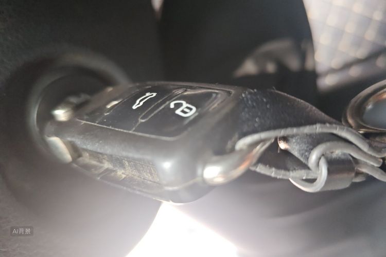 Volkswagen Polo 2014 car image #10