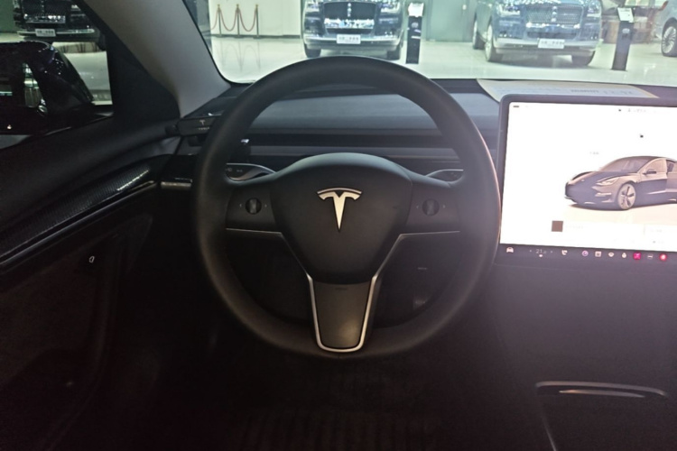 Tesla Model 3 2022 car image #15