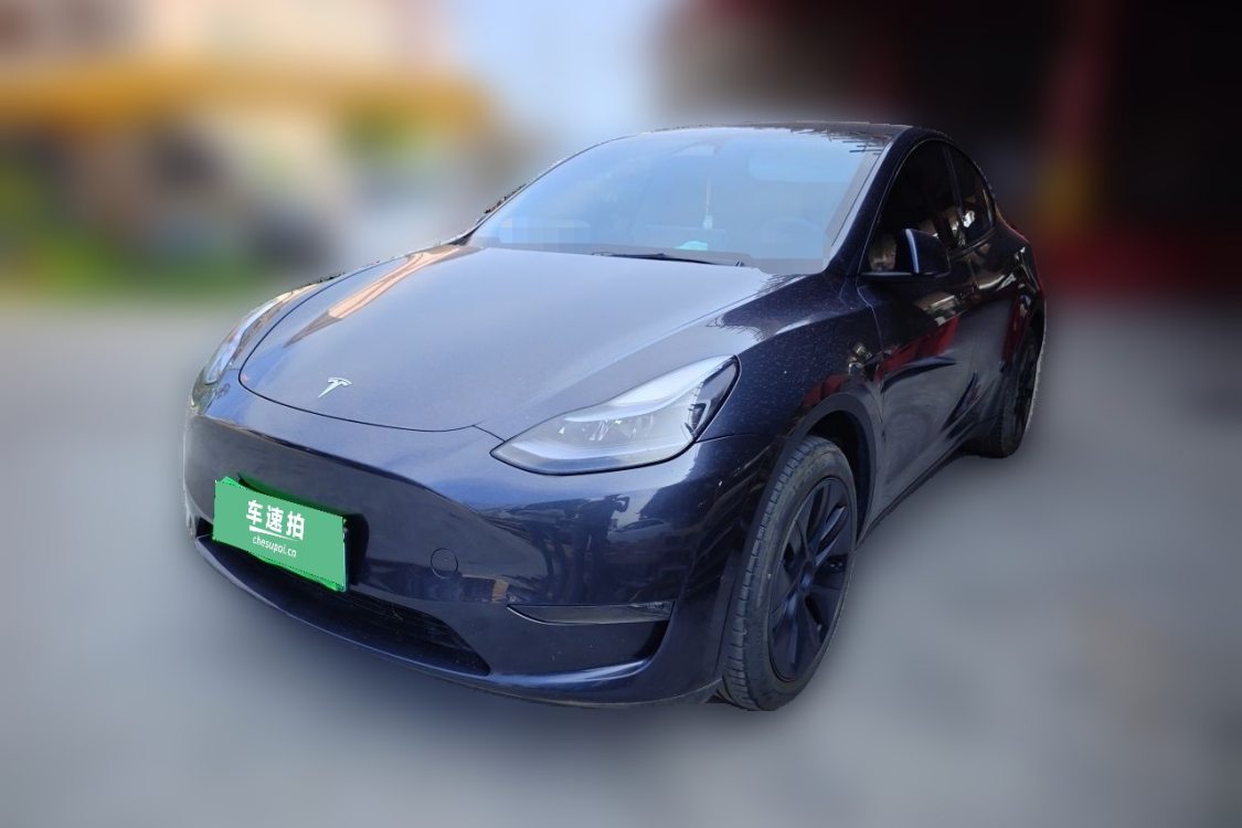Tesla Model Y 2024 Tesla Model Y 2024 car image