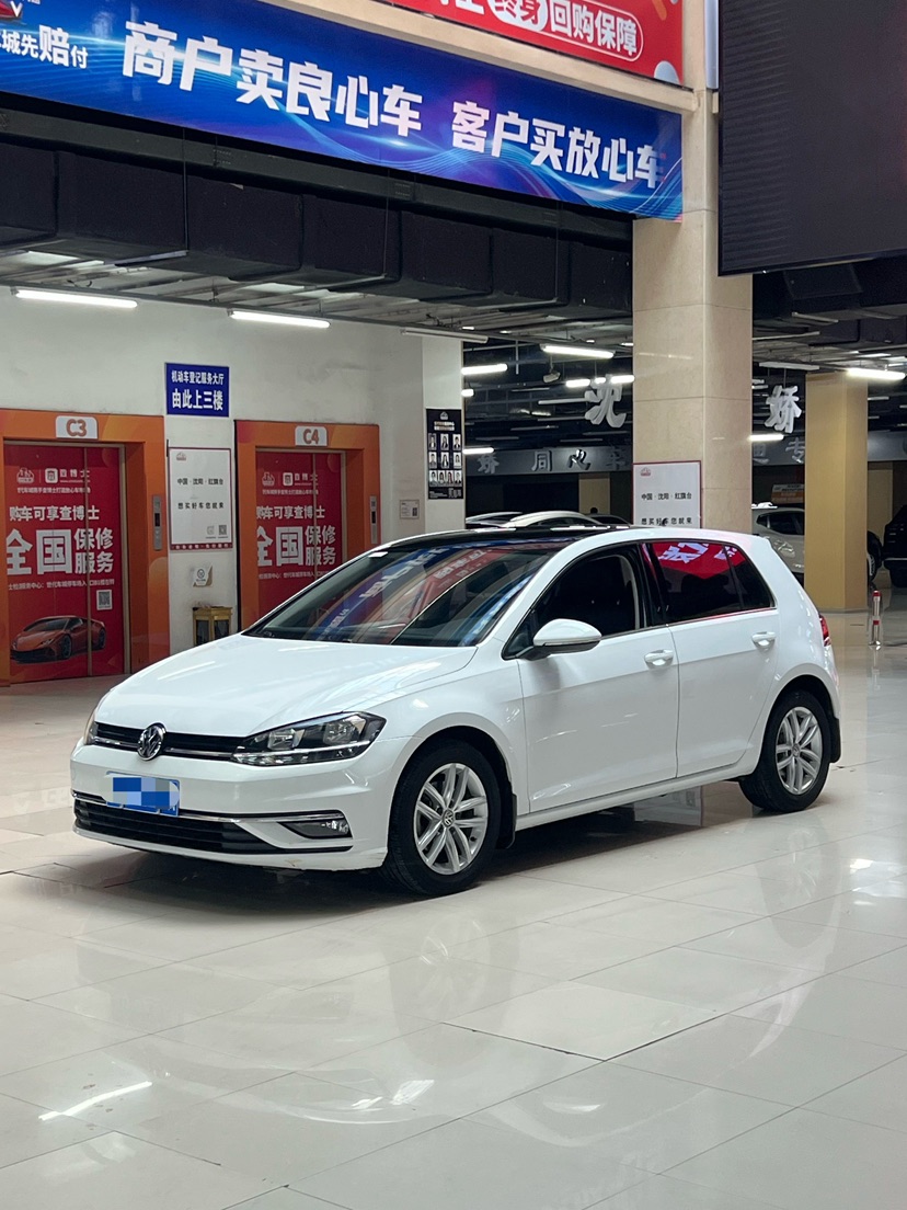 Volkswagen Golf 2019 car image 