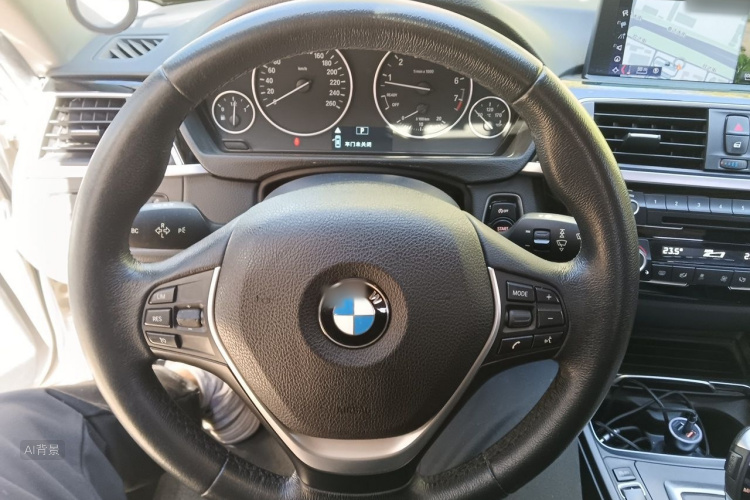 BMW 3 Series 2016 immagine di auto #12