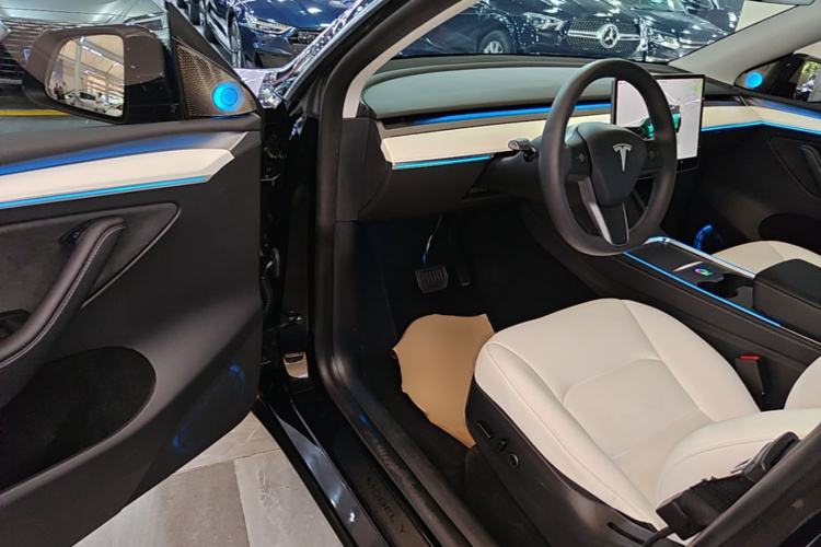 Tesla Model Y 2023 car image #16