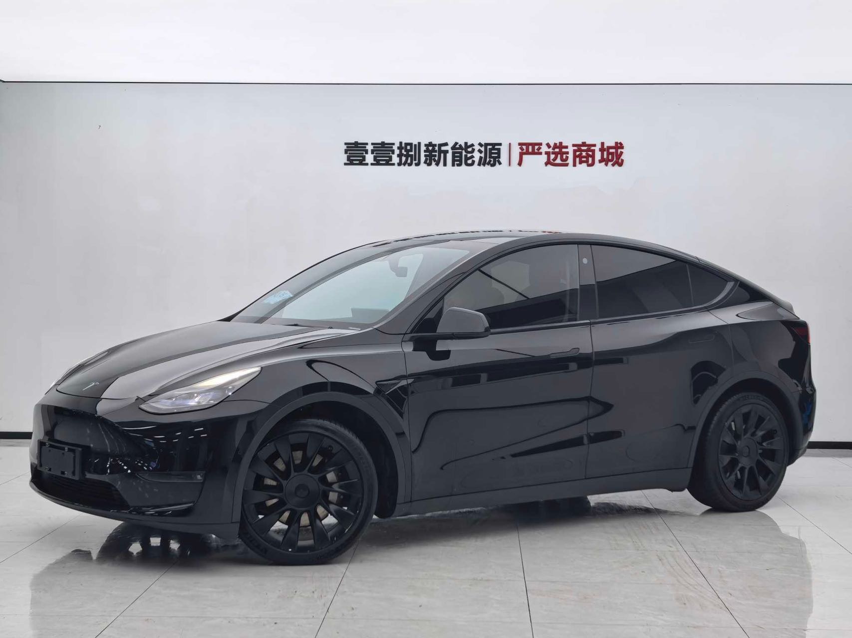 Tesla Model Y 2021 Tesla Model Y 2021 car image