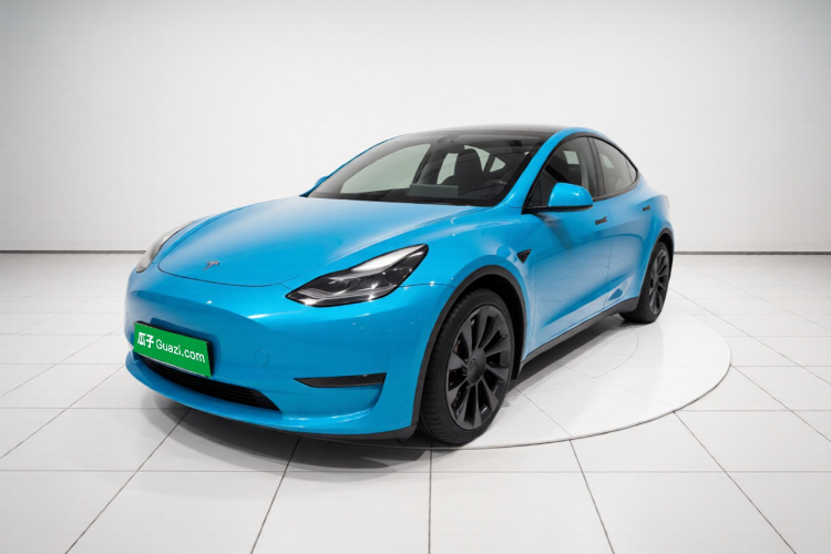 Tesla Model Y 2021 #2 Tesla Model Y 2021 car image #2
