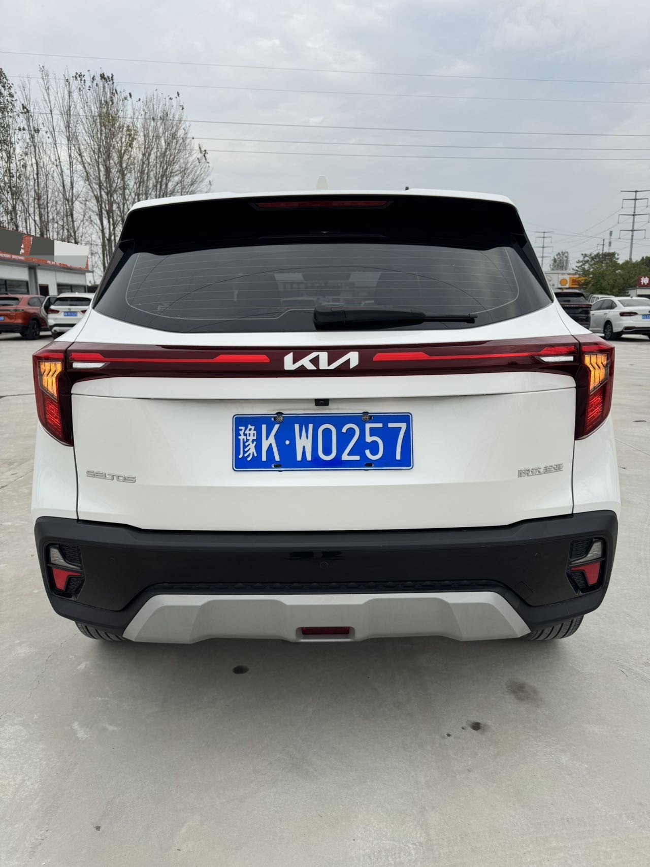 Kia Seltos 2023 imagen de coche #8