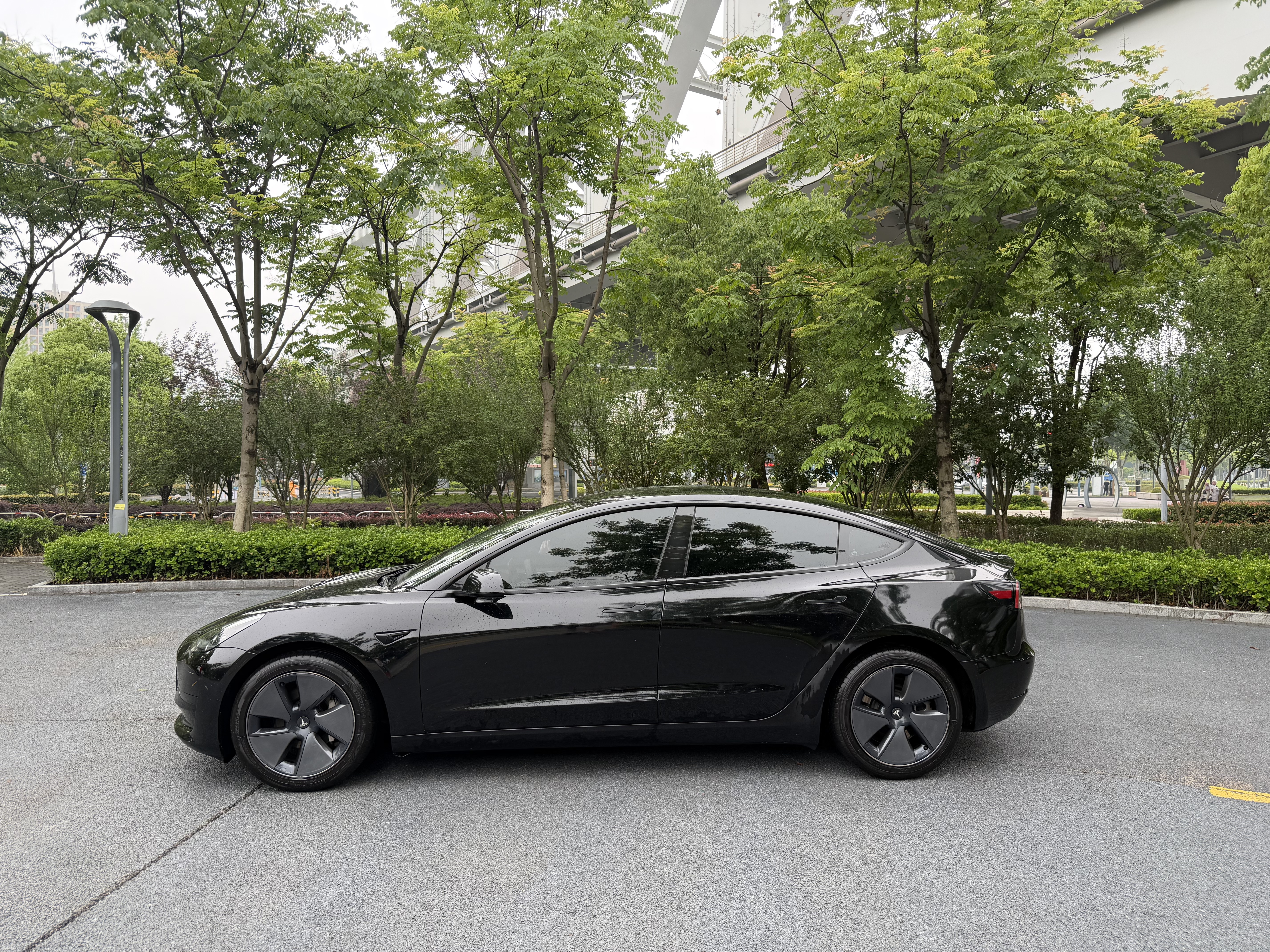 Tesla Model 3 2021 immagine di auto #13