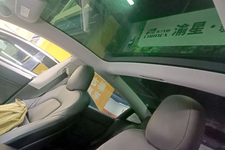 Tesla Model 3 2020 car image #18