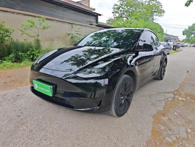 Tesla Model Y 2023 Tesla Model Y 2023 car image