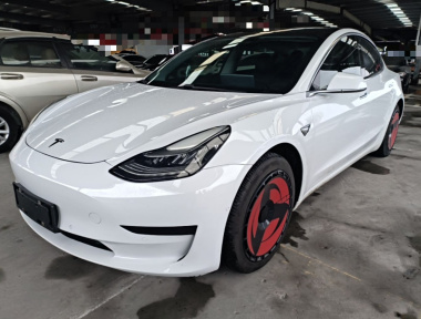 Tesla Model 3 2020 Tesla Model 3 2020 صورة سيارة