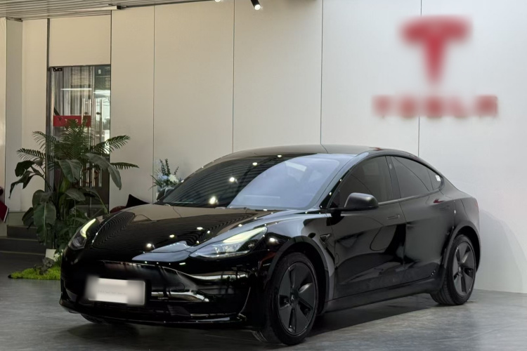 Tesla Model 3 2023 #2 Tesla Model 3 2023 car image #2