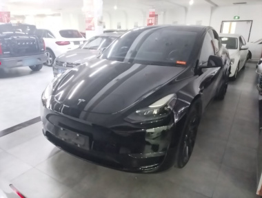 Tesla Model Y 2021 Tesla Model Y 2021 car image