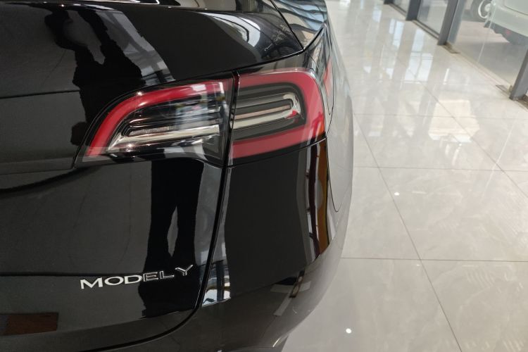 Tesla Model Y 2023 #8 Tesla Model Y 2023 car image #8