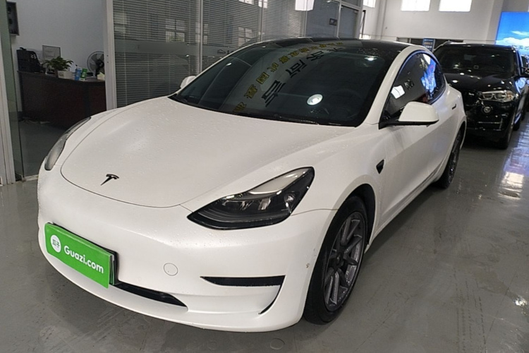 Tesla Model 3 2021 #2 Tesla Model 3 2021 car image #2