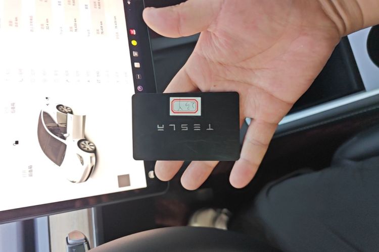 Tesla Model Y 2023 car image #14
