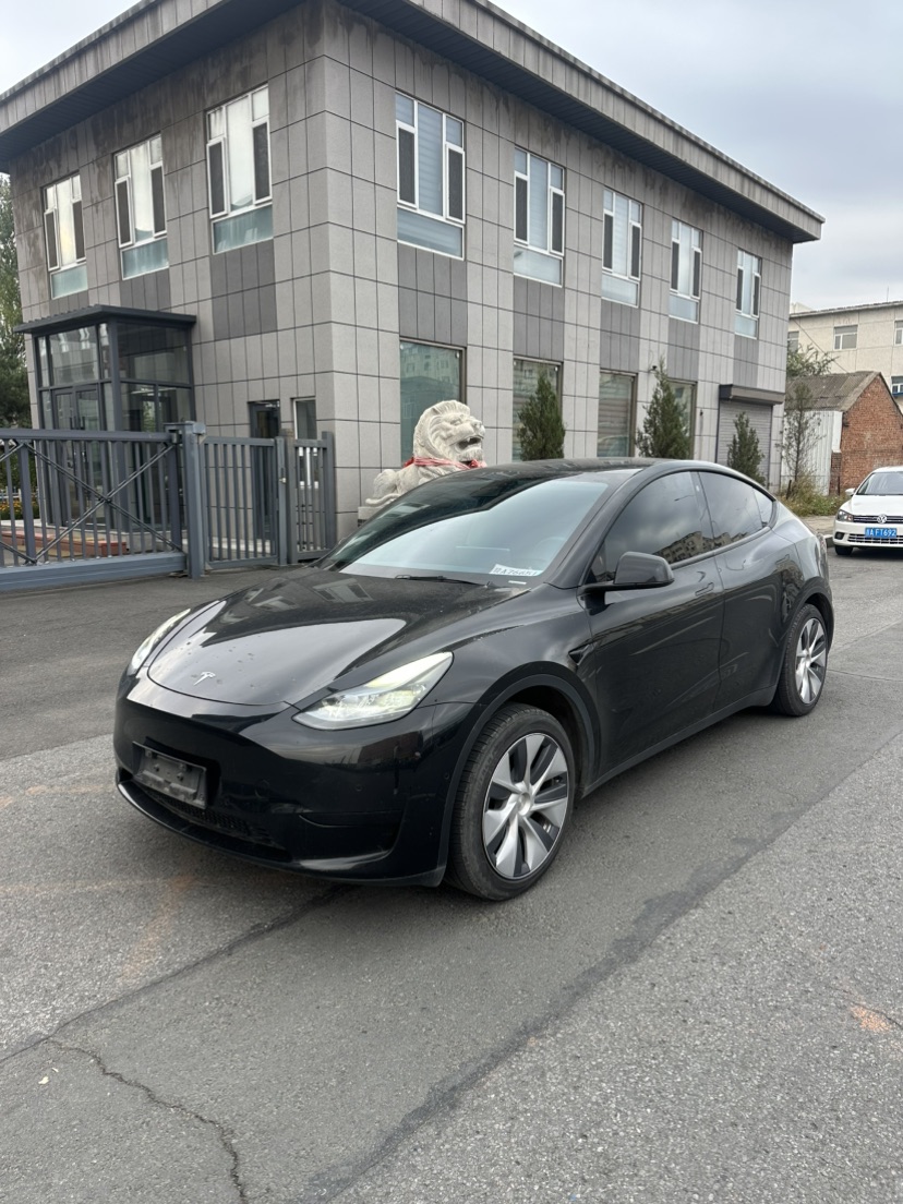 Tesla Model Y 2023 car image 