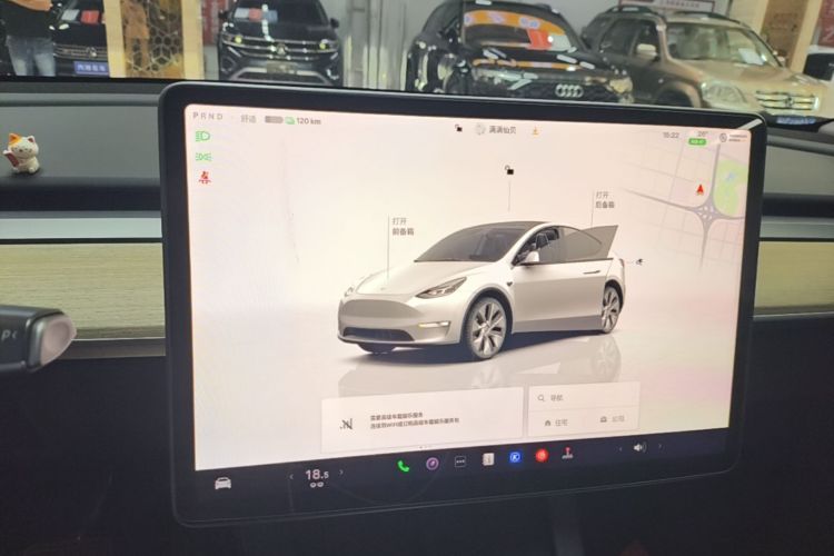 Tesla Model Y 2023 car image #13