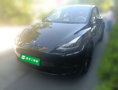Tesla Model Y 2022 car image 