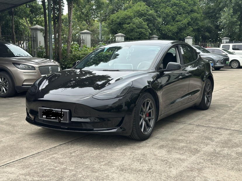 Tesla Model 3 2022 car image 