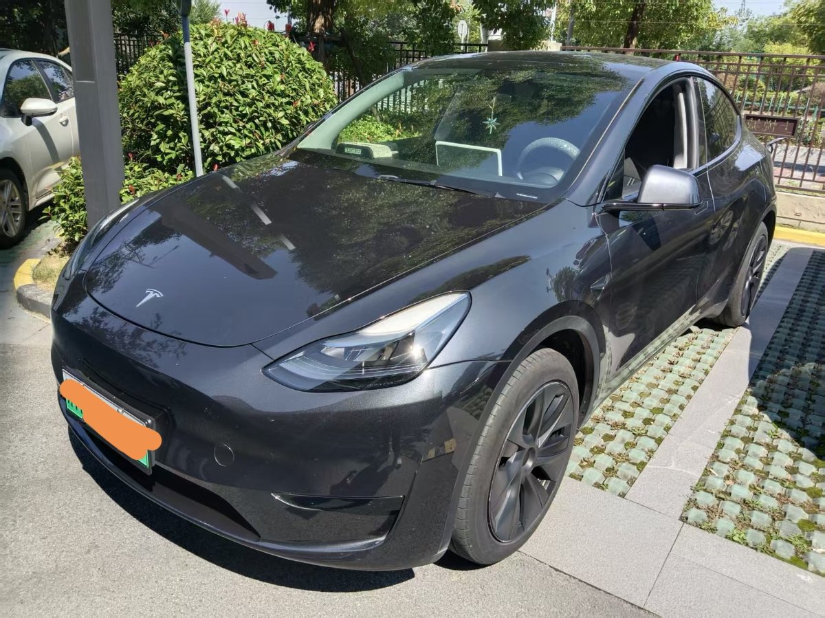Tesla Model Y 2024 Tesla Model Y 2024 car image
