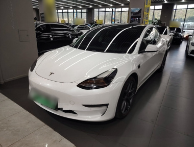 Tesla Model 3 2021 Tesla Model 3 2021 car image