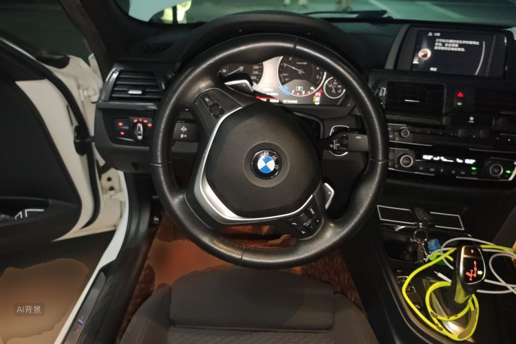 BMW 3 Series 2017 car image #12