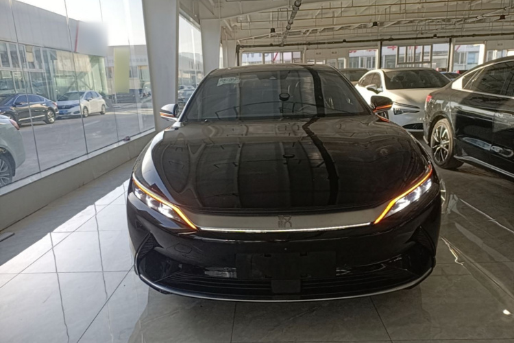 BYD Han 2020 immagine di auto #3