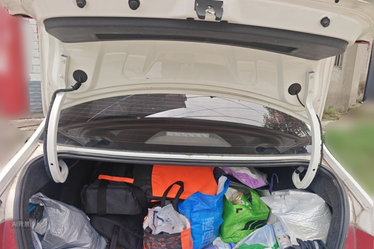 Volkswagen Santana 2022 car image #21