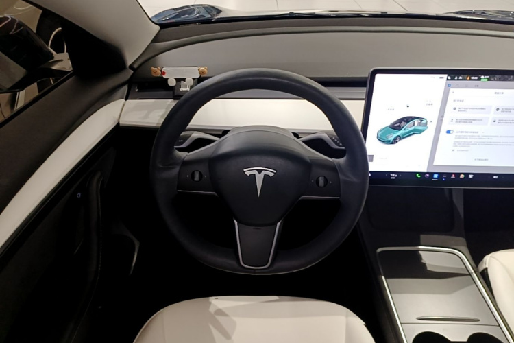 Tesla Model 3 2021 #11 Tesla Model 3 2021 car image #11