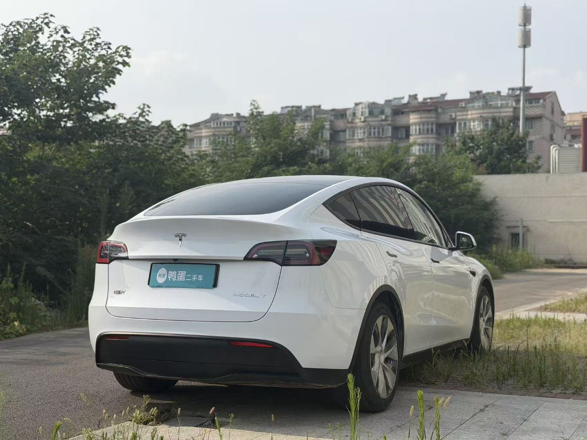 Tesla Model Y 2021 car image #6