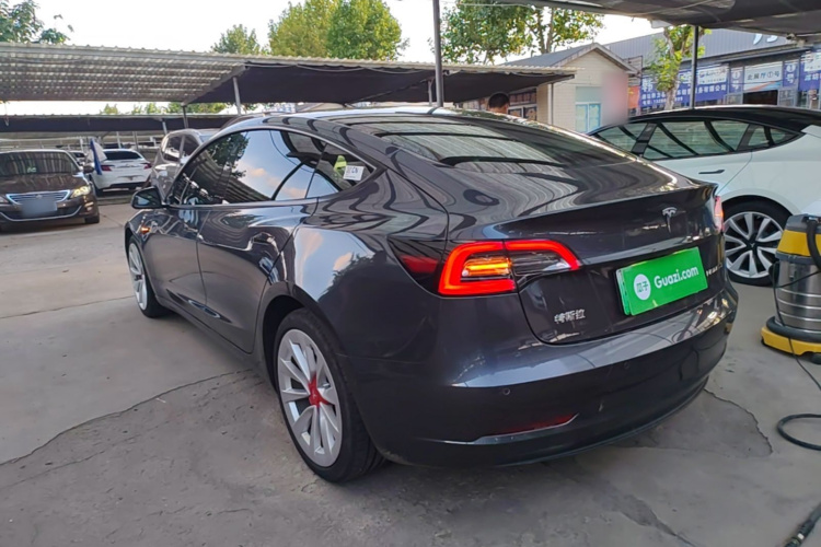 Tesla Model 3 2021 #5 Tesla Model 3 2021 car image #5