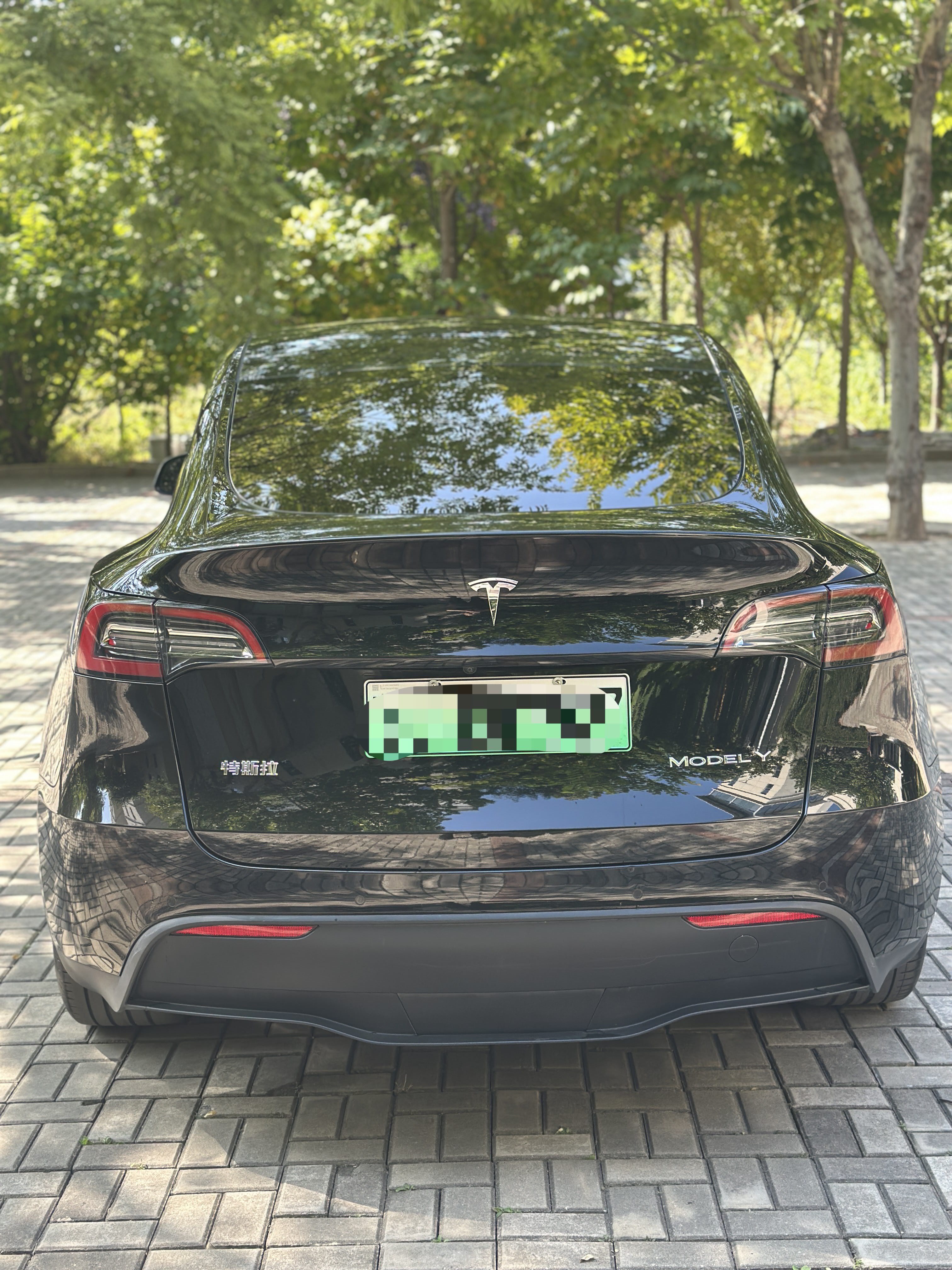 Tesla Model Y 2023 #5 Tesla Model Y 2023 car image #5