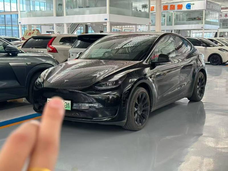 Tesla Model Y 2023 car image 