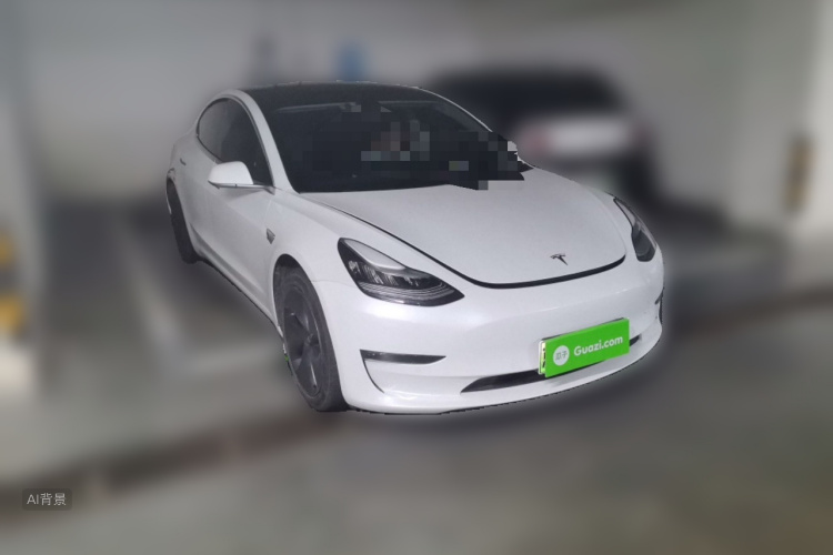 Tesla Model 3 2020 car image #4