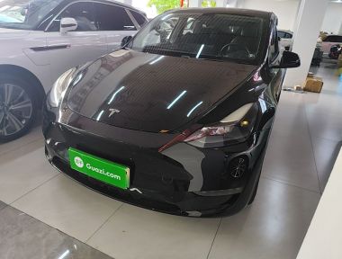 Tesla Model Y 2021 car image 