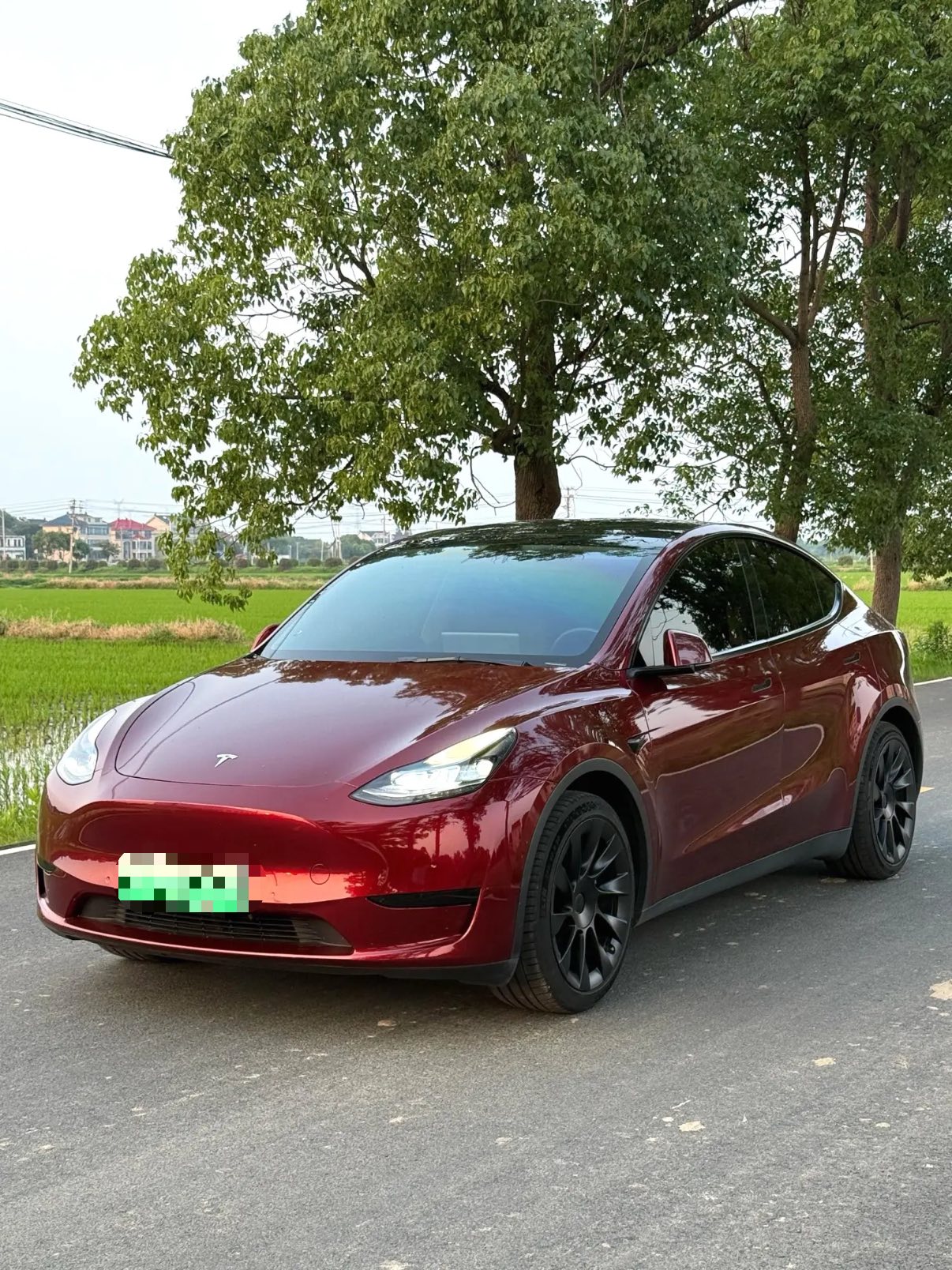 Tesla Model Y 2022 car image 