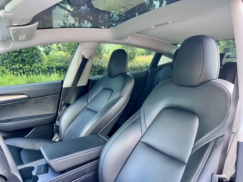 Tesla Model 3 2021 immagine di auto #7