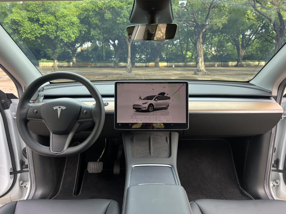 Tesla Model Y 2022 car image #18