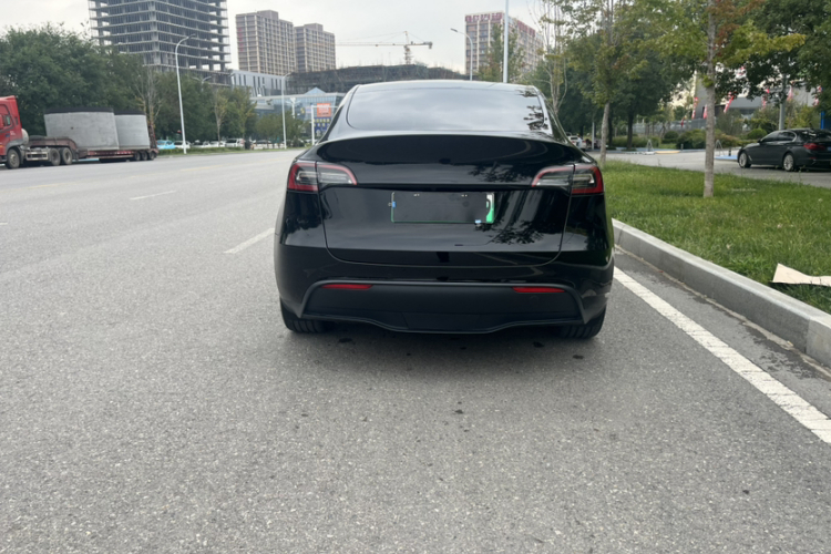 Tesla Model Y 2023 #8 Tesla Model Y 2023 car image #8