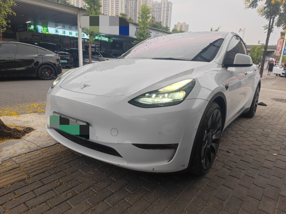 Tesla Model Y 2022 car image 