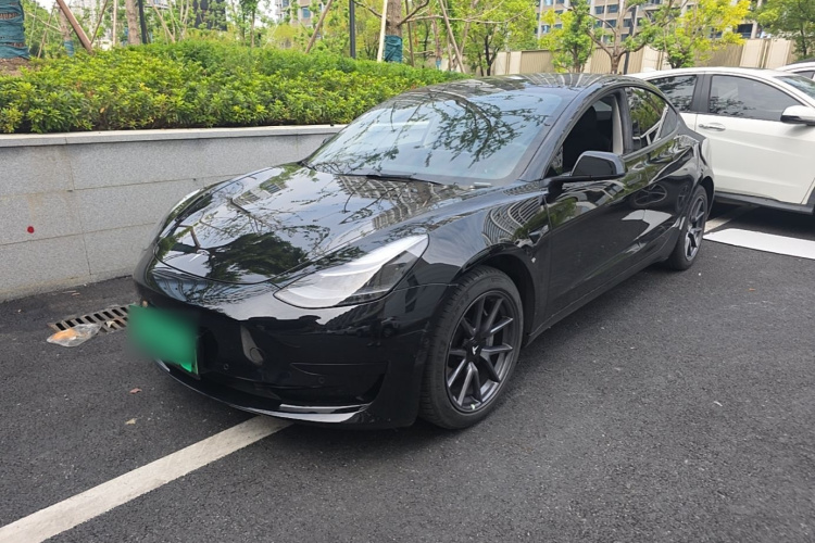 Tesla Model 3 2021 #2 Tesla Model 3 2021 car image #2