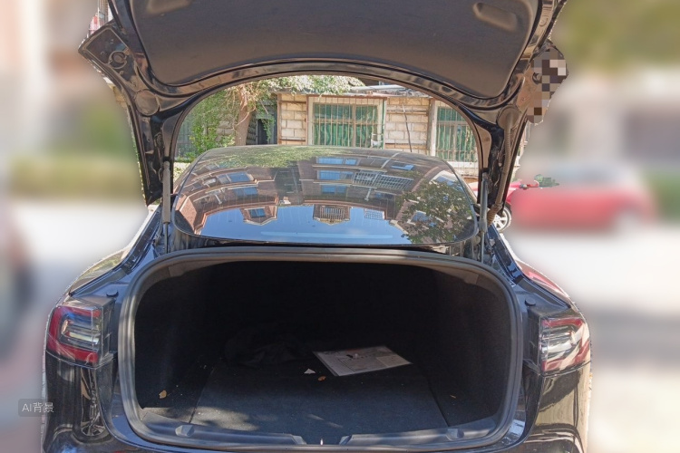 Tesla Model 3 2020 car image #21