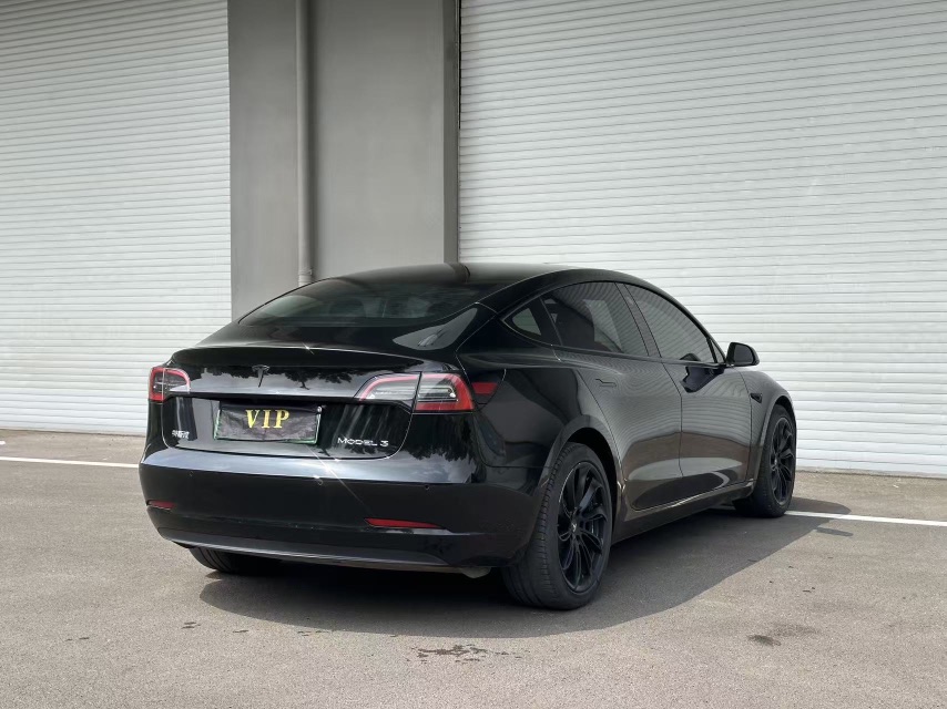 Tesla Model 3 2021 car image #6