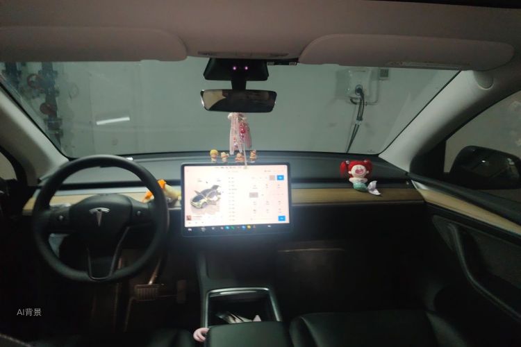 Tesla Model Y 2022 car image #20