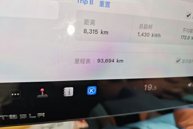 Tesla Model Y 2021 car image #14