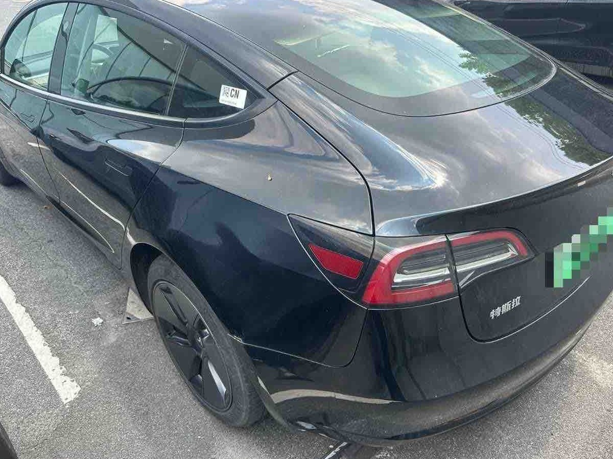 Tesla Model 3 2021 #5 Tesla Model 3 2021 car image #5