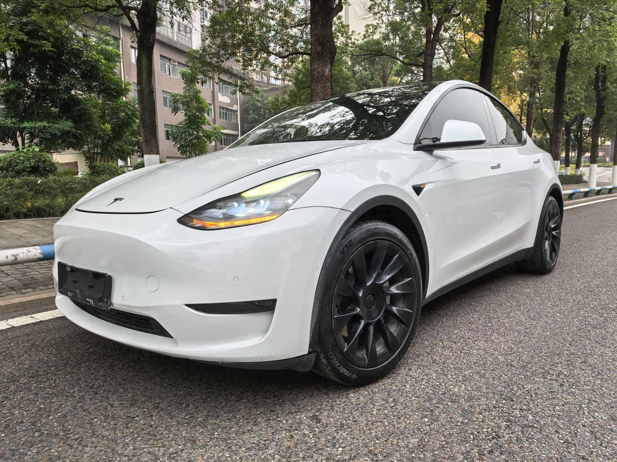 Tesla Model Y 2021 car image 