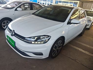 Volkswagen Golf 2019 Volkswagen Golf 2019 car image